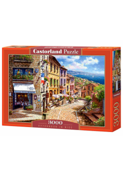 Puzzle Afternoon in Nice 3000