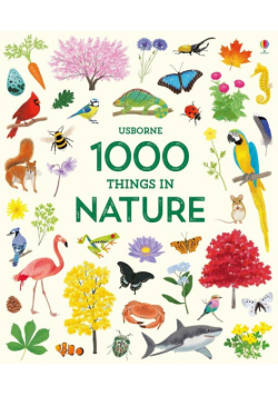 1000 Things in Nature