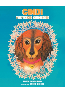 Cindi the Teenie Chiweenie