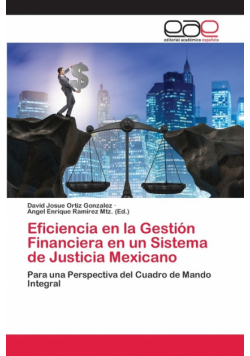 Eficiencia en la Gestión Financiera en un Sistema de Justicia Mexicano