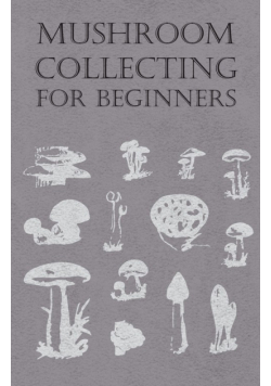 Mushroom Collecting for Beginners