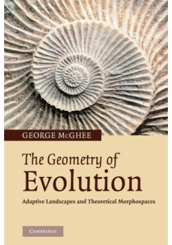 The Geometry of Evolution