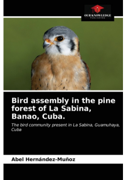 Bird assembly in the pine forest of La Sabina, Banao, Cuba.