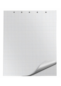 Blok do flipchartów 65x100cm 20K kratka