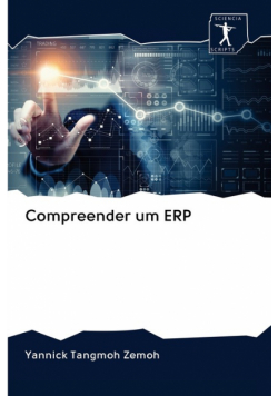 Compreender um ERP