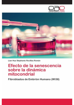 Efecto de la senescencia sobre la dinámica mitocondrial