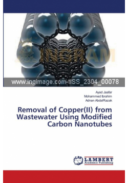 Removal of Copper(II) from Wastewater Using Modified Carbon Nanotubes