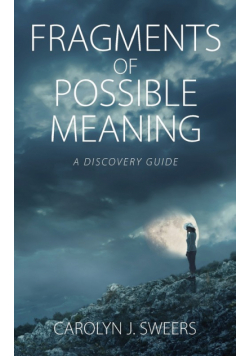 Fragments of Possible Meaning