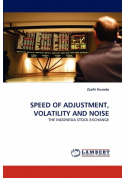 Speed Of Adjustment, Volatility And Noise