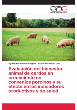 Evaluación del bienestar animal de cerdos en crecimiento en convenios porcinos y su efecto en los indicadores productivos y de salud