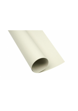 Karton Creatinio A1 160g jasnoszary (25szt)