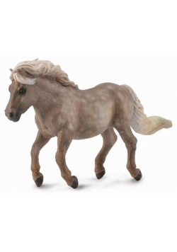 Kucyk Shetland Silver Dapple