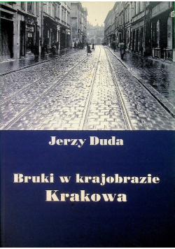 Bruki w krajobrazie Krakowa