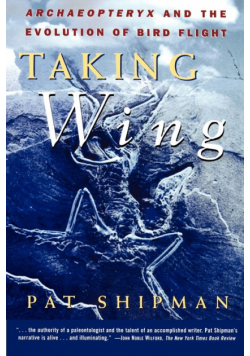 Taking Wing