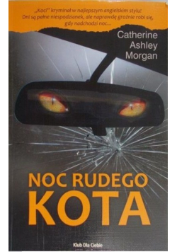 Noc rudego kota