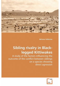 Sibling rivalry in Black-legged Kittiwakes