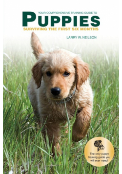 Your Comprehensive Training Guide to PUPPIES