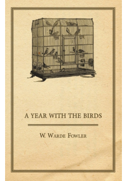 A Year with the Birds