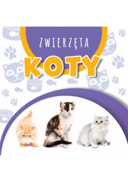 Wstęgi kartonowe. Koty