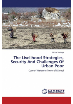 The Livelihood Strategies, Security And Challenges Of Urban Poor
