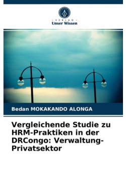 Vergleichende Studie zu HRM-Praktiken in der DRCongo
