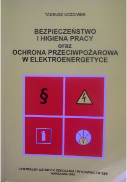 Bezpieczeństwo i higiena pracy oraz ochrona przeciwpożarowa w elektroenergetyce