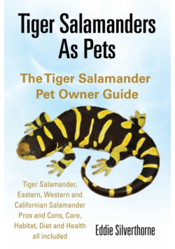 Tiger Salamanders As Pets