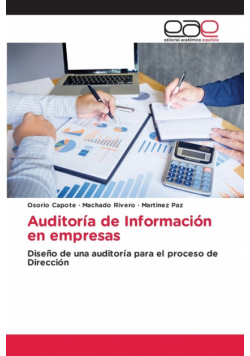 Auditoría de Información en empresas
