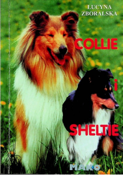 Collie i Sheltie