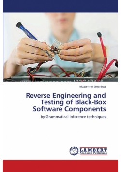 Reverse Engineering and Testing of Black-Box Software Components