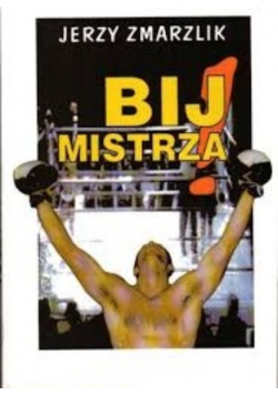 Bij mistrza