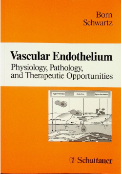 Vascular Endothelium