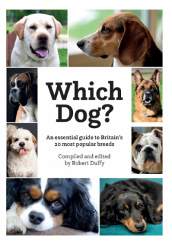 Which Dog
