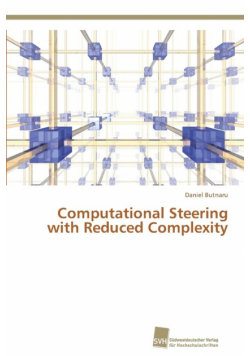 Computational Steering with Reduced Complexity
