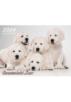 Kalendarz 2024 ścienny Lux Szczeniaki