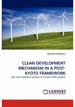 Clean Development Mechanism in a Post-Kyoto Framework