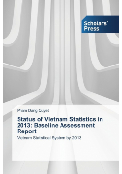 Status of Vietnam Statistics in 2013
