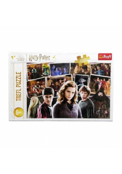 Puzzle 160 Harry Potter i przyjaciele TREFL