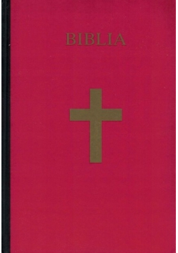 Biblia Pismo Święte Starego i Nowego