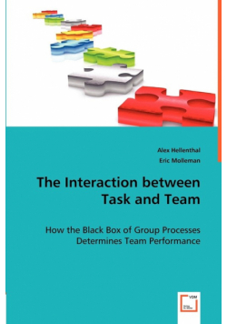 The Interaction between Task and Team