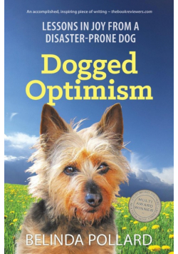 Dogged Optimism