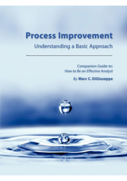Process Improvement