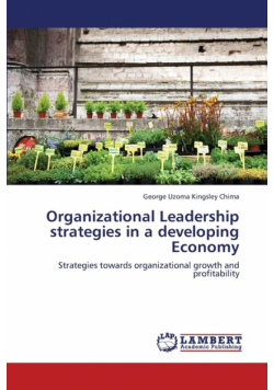 Organizational Leadership Strategies in a Developing Economy