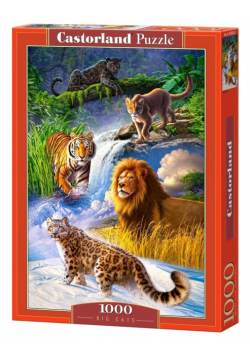 Puzzle 1000 Duży kot CASTOR