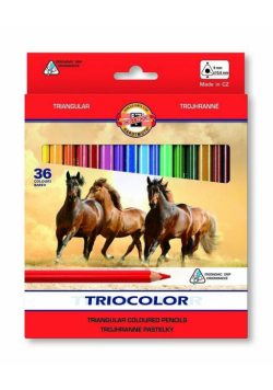 Kredki Triocolor 36 kolorów