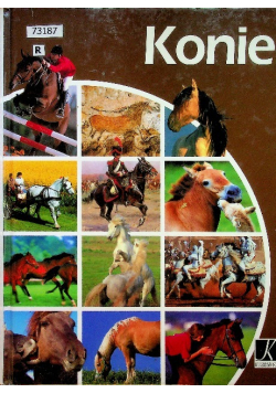 Konie