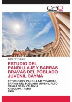 Estudio Del Pandillaje Y Barras Bravas Del Poblado Juvenil Cayma