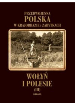 Przedwojenna Polska w krajobrazie i zabytkach Wołyń i Polesie