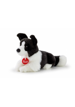 Border Collie Scott S
