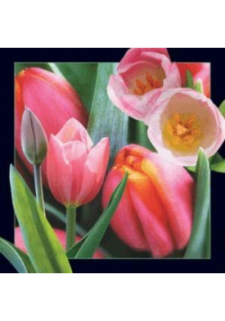 Magnes 3D Tulipan
